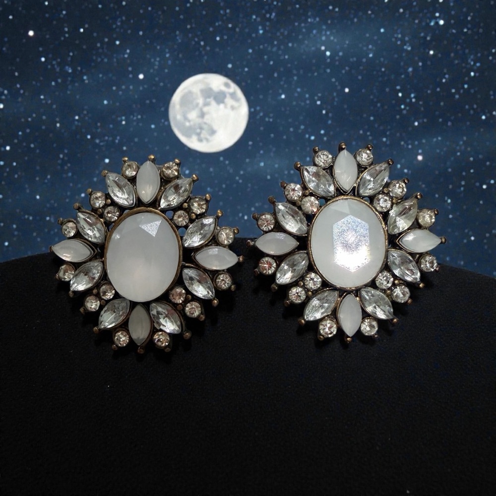 Elegant Silver and White Floral Earrings